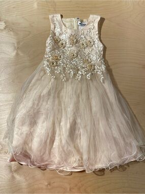 Diva Behavior Elegant Girls' Pink Floral Tulle Dress 7 (RY)